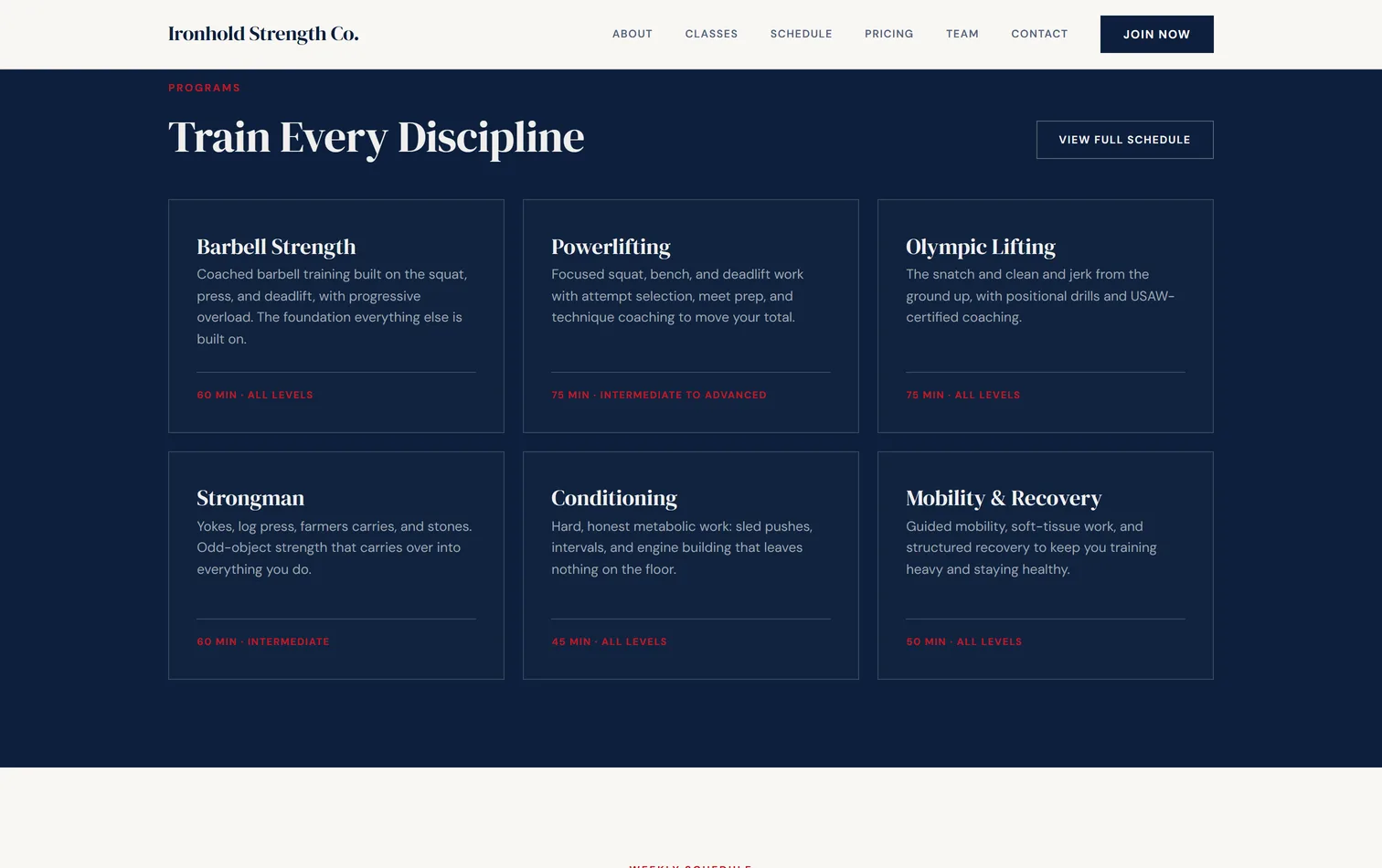 The programmes section on a live gym site
